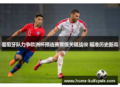 葡萄牙队力争欧洲杯预选赛晋级关键战役 瞄准历史新高