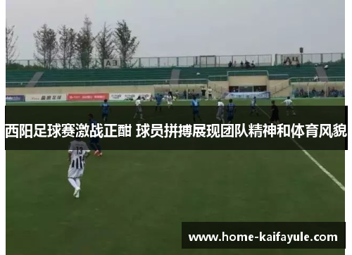 西阳足球赛激战正酣 球员拼搏展现团队精神和体育风貌