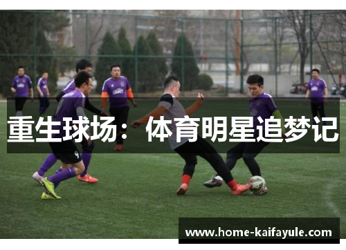 重生球场：体育明星追梦记